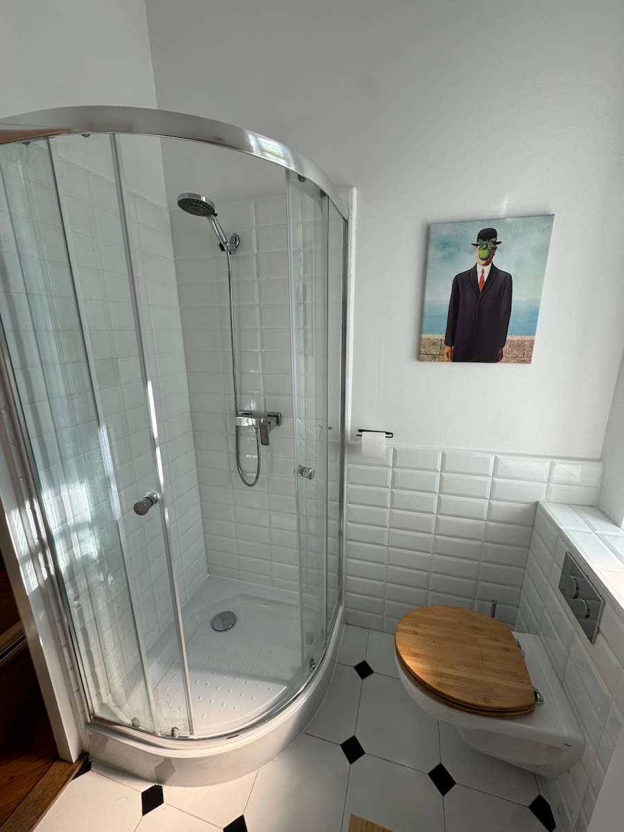 Corner shower with glass doors beside a wall-hung toilet and a Magritte print